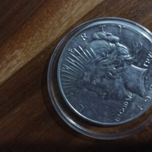 MONEDA DE COLECCION ONE DOLLAR DE PLATA LIBERTY PEACE AÑO 1935